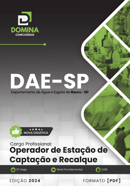 Concurso DAE - SP 2024