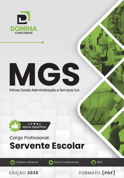 Concurso MGS - MG 2025