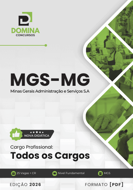 Concurso MGS - MG 2026