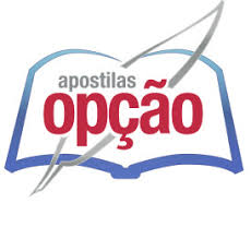 Logo Apostilas Opção