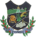 Brasão da Prefeitura Municipal de Piumhi MG